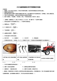 2026届陕西省铜川市中考四模化学试题（含答案解析）