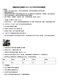 西藏自治区日喀则市2025-2026学年中考化学猜题卷（含答案解析）