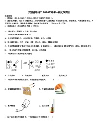 安徽省亳州市2026年中考一模化学试题（含答案解析）