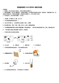 安徽省亳州市2026年中考一模化学试题（含答案解析）