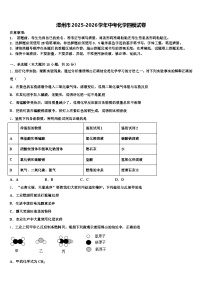 漳州市2025-2026学年中考化学四模试卷（含答案解析）