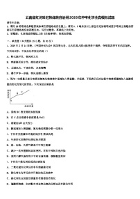 云南省红河哈尼族彝族自治州2026年中考化学全真模拟试题（含答案解析）
