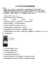 2026年萍乡市中考化学模拟精编试卷（含答案解析）