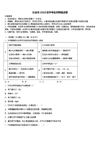 长治市2026年中考化学押题试卷（含答案解析）