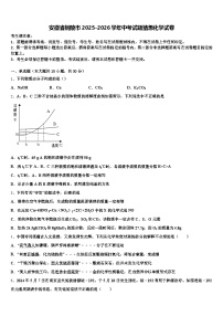 安徽省铜陵市2025-2026学年中考试题猜想化学试卷（含答案解析）