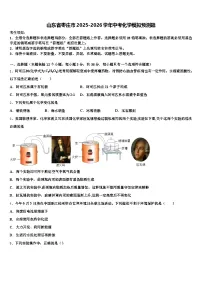 山东省枣庄市2025-2026学年中考化学模拟预测题（含答案解析）
