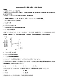 2025-2026学年宜春市中考三模化学试题（含答案解析）
