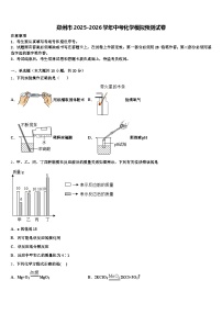 郑州市2025-2026学年中考化学模拟预测试卷（含答案解析）