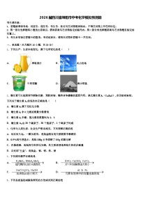 2026届四川省绵阳市中考化学模拟预测题（含答案解析）