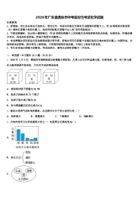 2026年广东省清远市中考适应性考试化学试题（含答案解析）