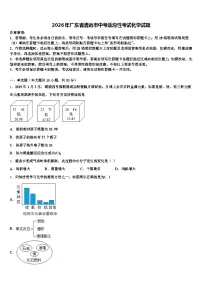 2026年广东省清远市中考适应性考试化学试题（含答案解析）