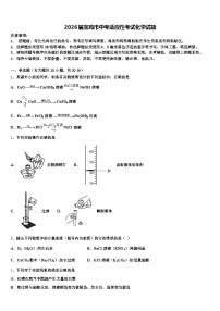 2026届宝鸡市中考适应性考试化学试题（含答案解析）