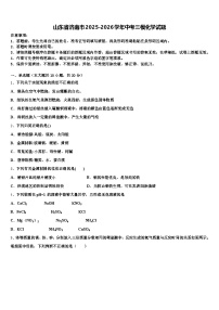 山东省济南市2025-2026学年中考三模化学试题（含答案解析）