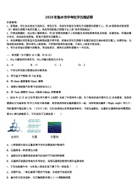 2026年衡水市中考化学五模试卷（含答案解析）