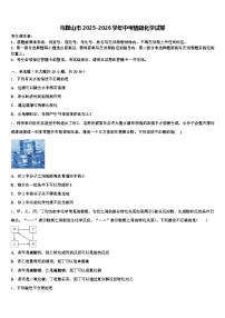马鞍山市2025-2026学年中考猜题化学试卷（含答案解析）