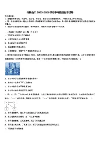 马鞍山市2025-2026学年中考猜题化学试卷（含答案解析）