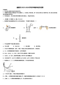 南阳市2025-2026学年中考联考化学试卷（含答案解析）