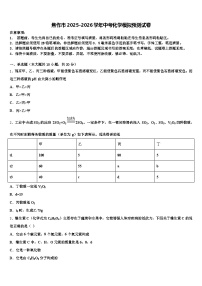 焦作市2025-2026学年中考化学模拟预测试卷（含答案解析）