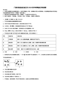 广西壮族自治区崇左市2026年中考押题化学预测卷（含答案解析）