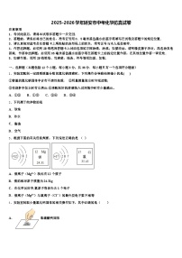 2025-2026学年延安市中考化学仿真试卷（含答案解析）
