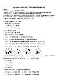 武汉市2025-2026学年中考化学最后冲刺浓缩精华卷（含答案解析）