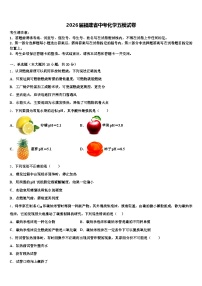 2026届福建省中考化学五模试卷（含答案解析）