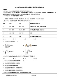 2026年陕西省延安市中考化学适应性模拟试题（含答案解析）