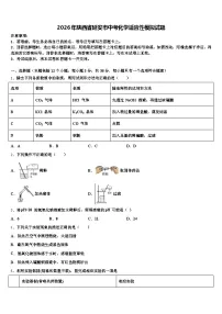 2026年陕西省延安市中考化学适应性模拟试题（含答案解析）