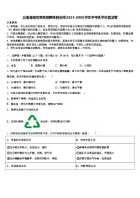 云南省德宏傣族景颇族自治州2025-2026学年中考化学仿真试卷（含答案解析）