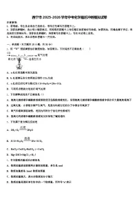 西宁市2025-2026学年中考化学最后冲刺模拟试卷（含答案解析）