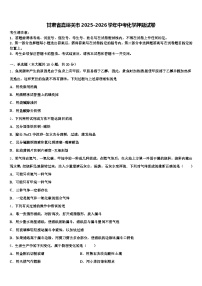 甘肃省嘉峪关市2025-2026学年中考化学押题试卷（含答案解析）