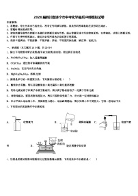 2026届四川省遂宁市中考化学最后冲刺模拟试卷（含答案解析）