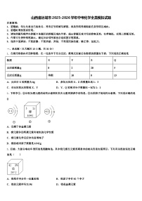 山西省运城市2025-2026学年中考化学全真模拟试题（含答案解析）