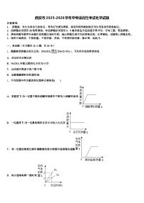 西安市2025-2026学年中考适应性考试化学试题（含答案解析）