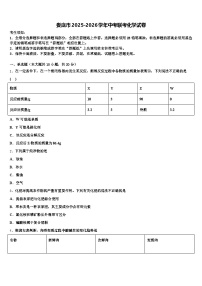 娄底市2025-2026学年中考联考化学试卷（含答案解析）