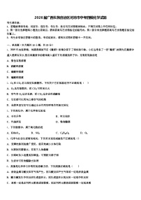 2026届广西壮族自治区河池市中考四模化学试题（含答案解析）