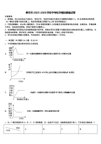 焦作市2025-2026学年中考化学模拟精编试卷（含答案解析）