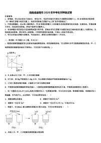 湖南省益阳市2026年中考化学押题试卷（含答案解析）