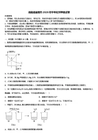 湖南省益阳市2026年中考化学押题试卷（含答案解析）