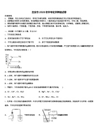 吉安市2026年中考化学押题试卷（含答案解析）