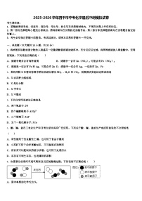 2025-2026学年四平市中考化学最后冲刺模拟试卷（含答案解析）
