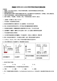 海南省三沙市2025-2026学年中考化学适应性模拟试题（含答案解析）