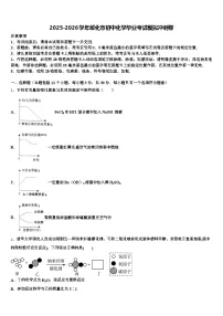 2025-2026学年绥化市初中化学毕业考试模拟冲刺卷（含答案解析）