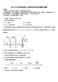 2025-2026学年四川省广元市初中化学毕业考试模拟冲刺卷（含答案解析）