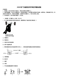 2026年广东省茂名市中考化学模拟试题（含答案解析）