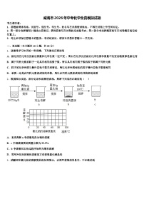 威海市2026年中考化学全真模拟试题（含答案解析）
