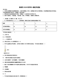 泉州市2026年中考一模化学试题（含答案解析）