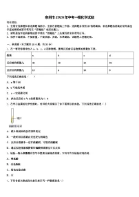 泉州市2026年中考一模化学试题（含答案解析）