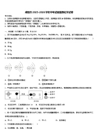 咸阳市2025-2026学年中考试题猜想化学试卷（含答案解析）