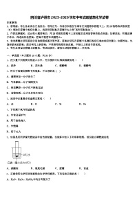 四川省泸州市2025-2026学年中考试题猜想化学试卷（含答案解析）